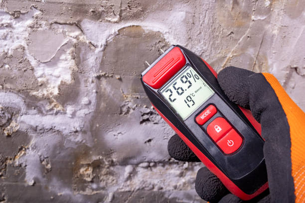 Ripley, MS Mold Removal Company